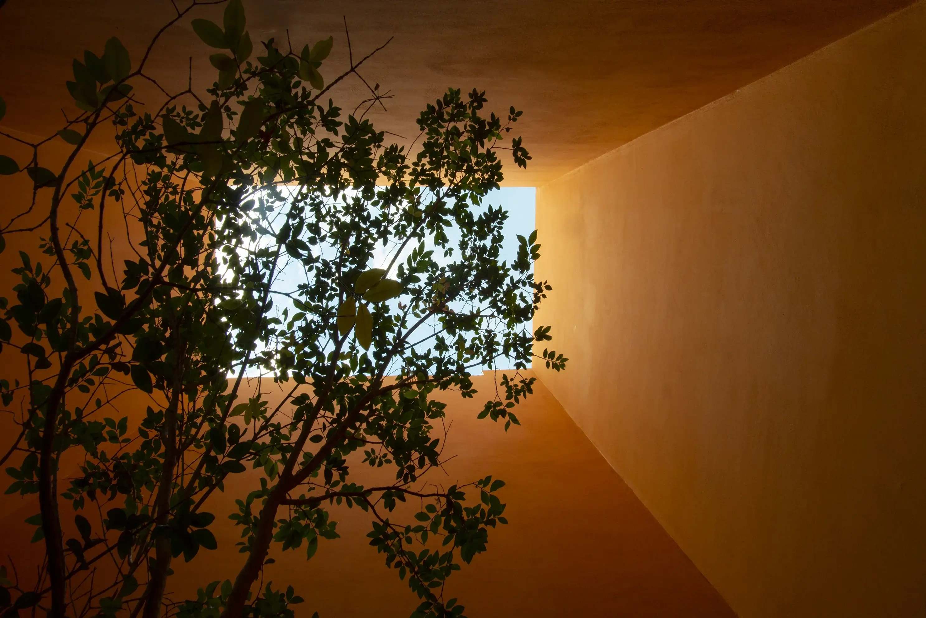 Detalle 13