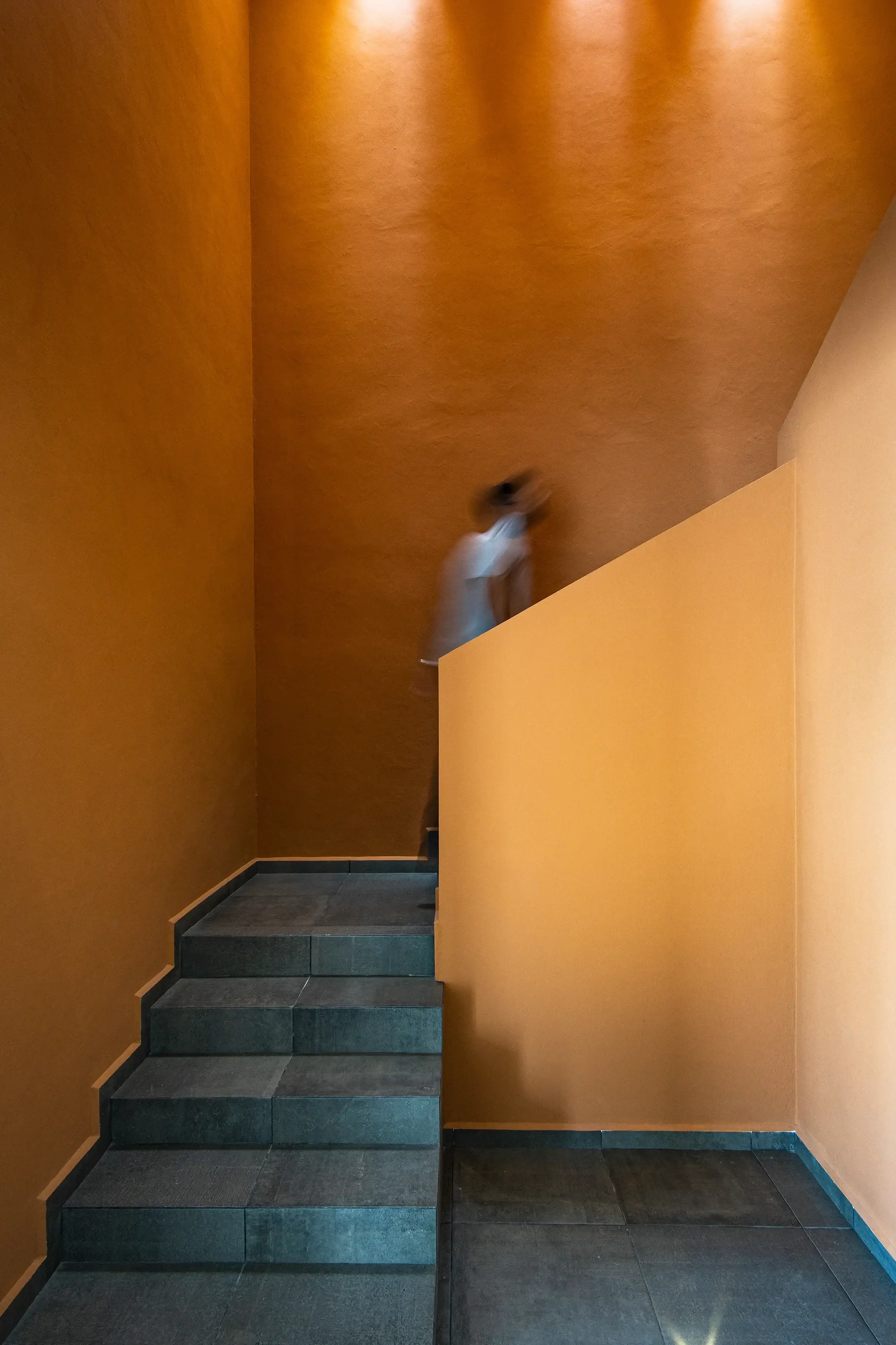 Detalle 14